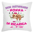 Cuscino Non Disturbare Nonna In Ricarica Bramart