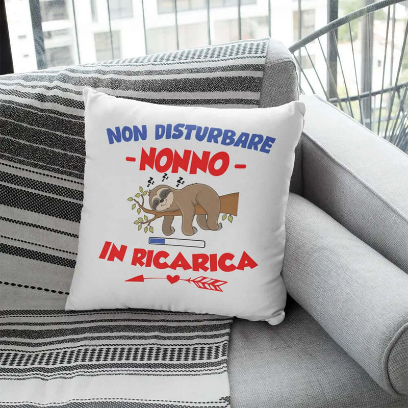 Cuscino Non Disturbare Nonno In Ricarica Bramart